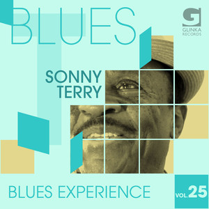 Blues Experience, Vol. 25 album