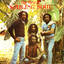 The Best of the Wailing Souls cover