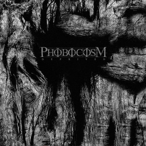 Phobocosm poster