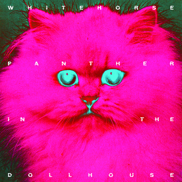 Panther In The Dollhouse cover
