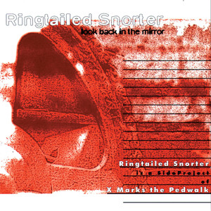 Look Back in the Mirror cover