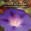 When the Last Morning Glory Blooms cover