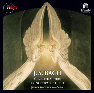 J.S. Bach: Complete Motets, BWV 118 & 225-230 album