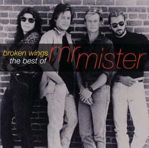 Broken Wings: The Best of Mr. Mister album