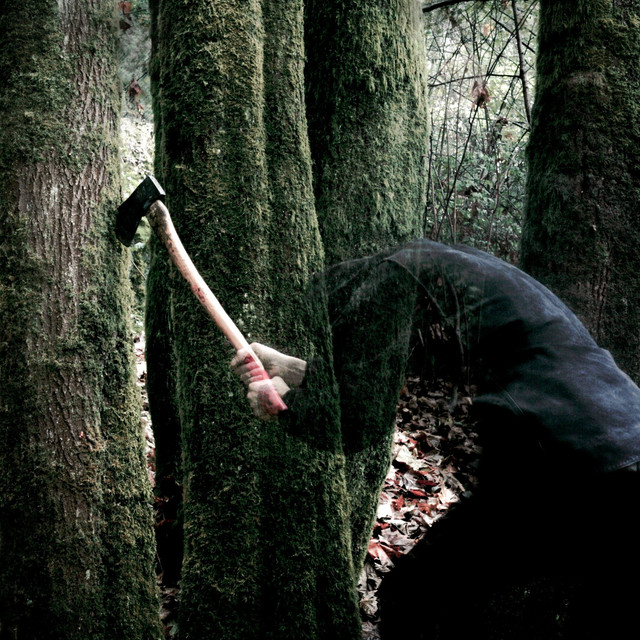 Bushcraft cover