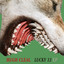 Lucky 13 Albumcover
