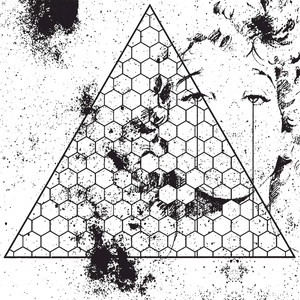 Betrayed in the Octagon cover
