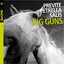 Big Guns cover