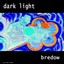 Dark Light Albumcover