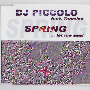 DJ Piccolo feat. Tehmina