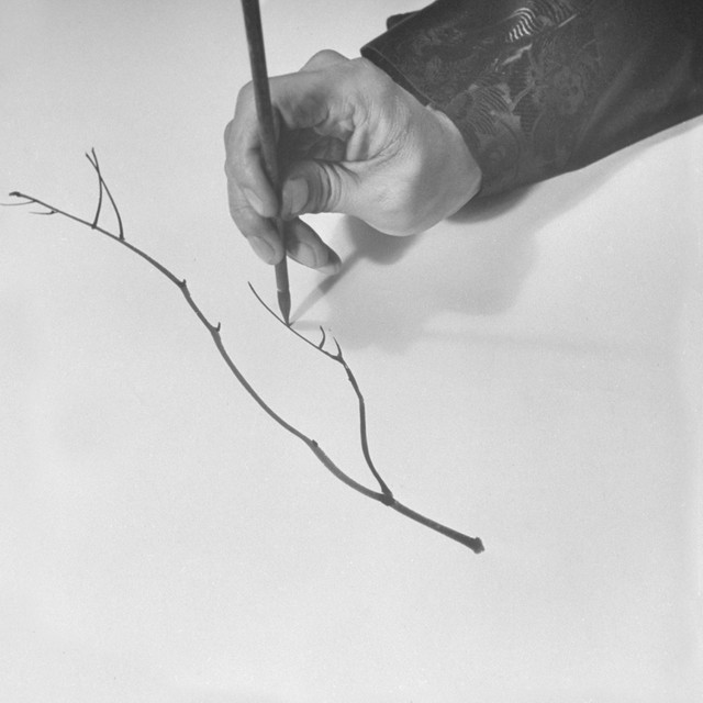 Mary Jane Leach photo