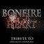 Bonfire Heart : Tribute To James Blunt, OneRepublic Albumcover