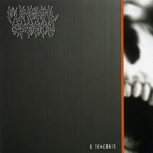 E Tenebris Albumcover