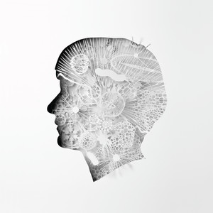 Sistema cover