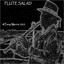 Flute Salad Albumcover