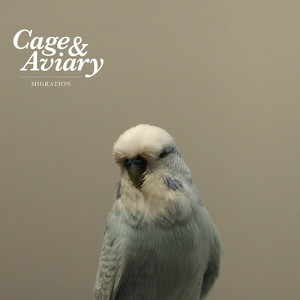 Giorgio Carpenter (Director's cut) (original mix) cover