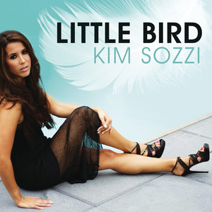 Little Bird cover