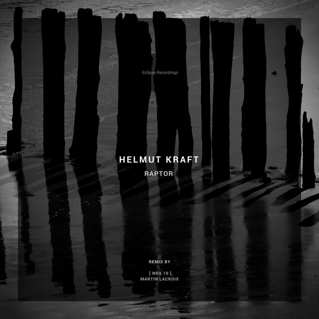 Raptor - [ Wex 10 ] Remix album art
