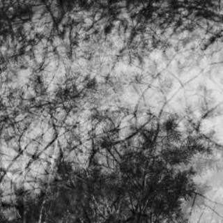 Guy Gelem Photo