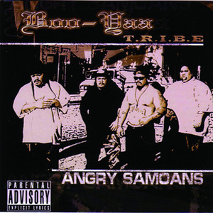 Angry Samoans album
