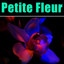 Petite Fleur cover