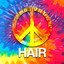 Hair (A Rock Musical) Albumcover