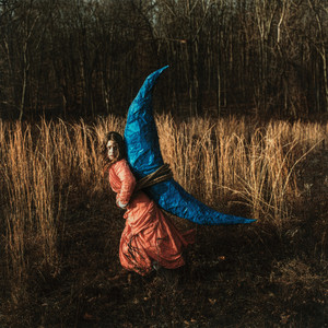 Mutual Horse cover