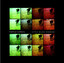 Little Black Numbers cover