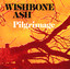 Pilgrimage cover