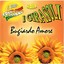 Bugiardo amore: il vero folklore italiano, vol. 1 Albumcover