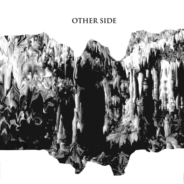 Other Side cover