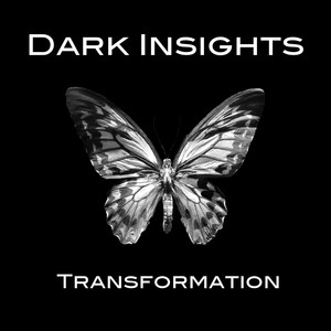 Dark Insights Photo