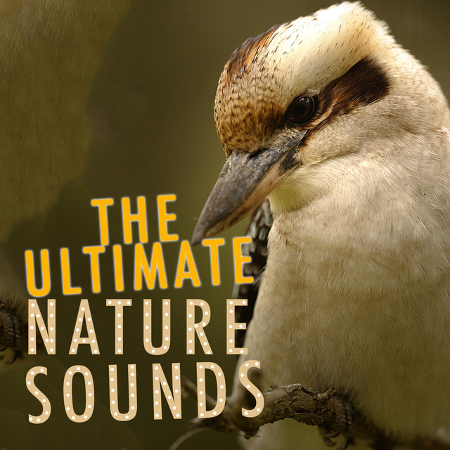 The Ultimate Nature Sounds Albumcover