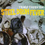 Steel Drum Fever Albumcover