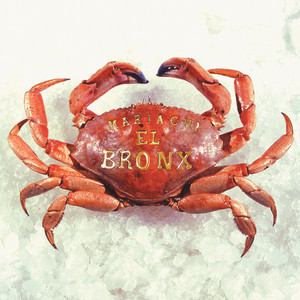 Mariachi El Bronx (I) album
