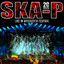 Live In Woodstock Festival (En Directo) cover