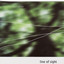 Line of Sight Albumcover