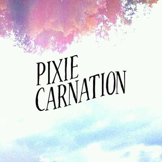 Pixie Carnation Photo
