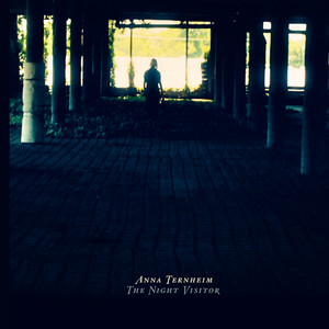 The Night Visitor cover