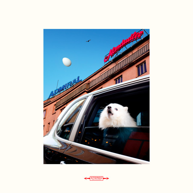 White Roses cover