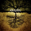 Strange We Should Meet Here cover