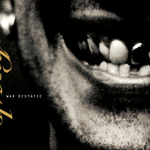 Wax Ecstatic album