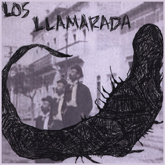 Los Llamarada Photo