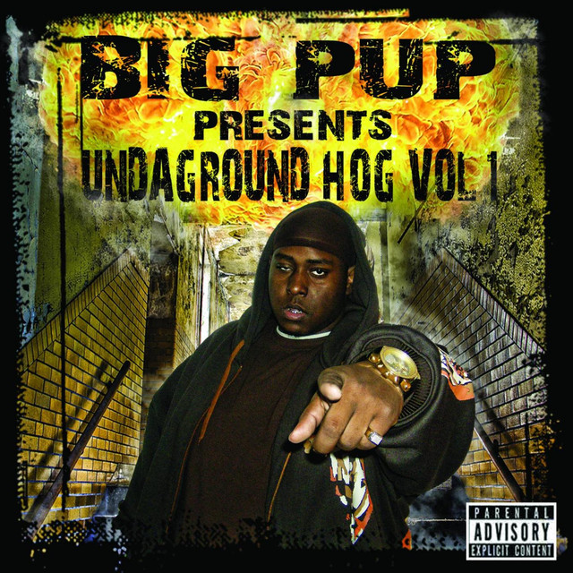 Undaground Hog, Vol. 1 Albumcover