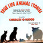 True Life Animal Stories Albumcover
