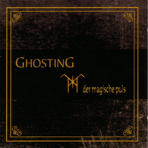 Der Magische Puls cover