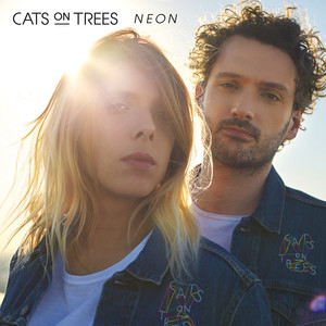 Neon cover
