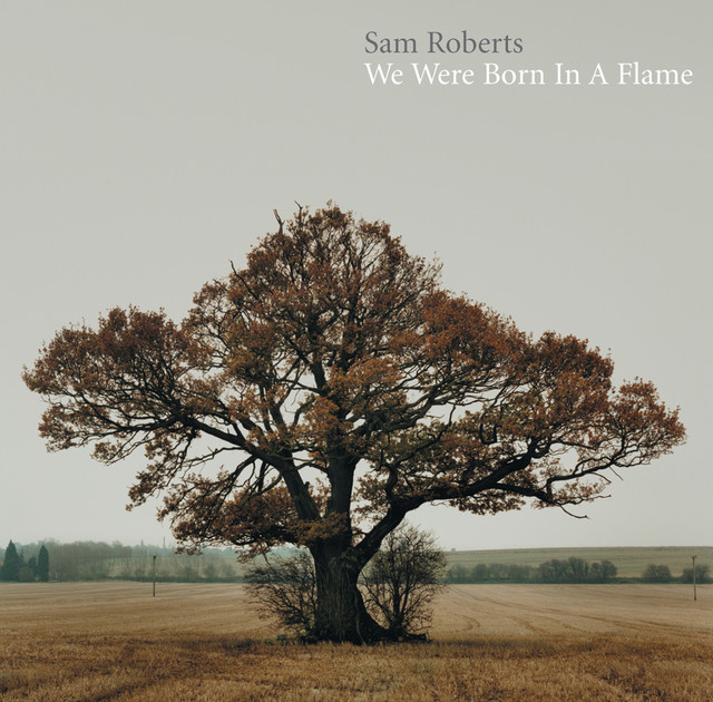 We Were Born In A Flame cover