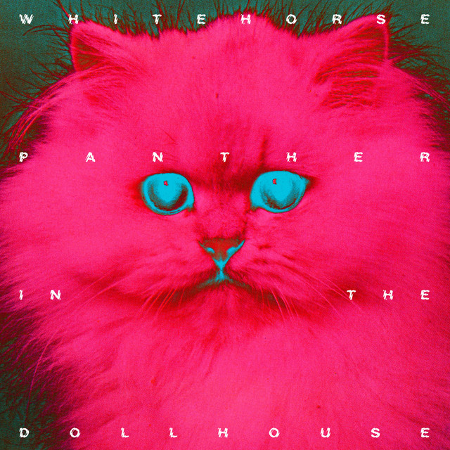 Panther In The Dollhouse cover