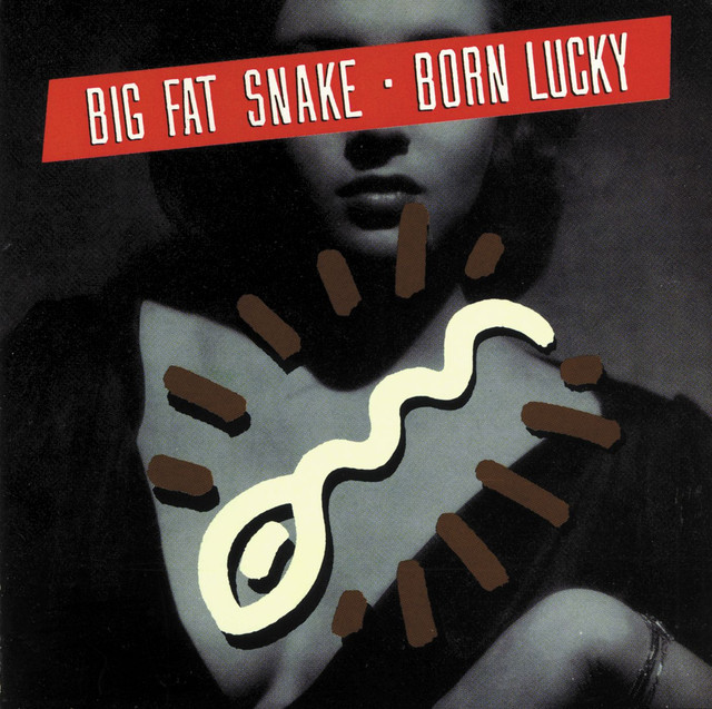 Born Lucky cover